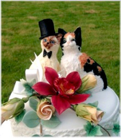 Sugarcraft Cats made with Cat Head Moulds